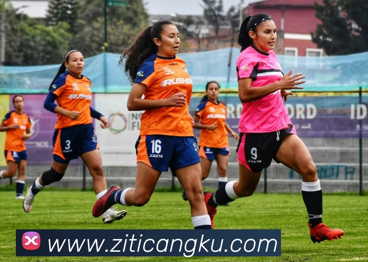 世界杯平台官网登录APP 高清赛事图